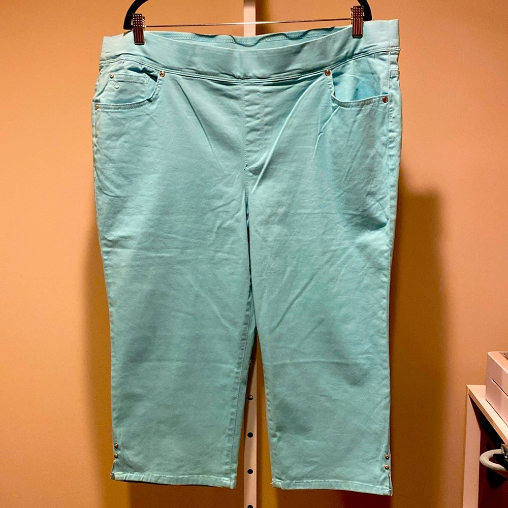 Gloria Vanderbilt Aqua green Capris 18W